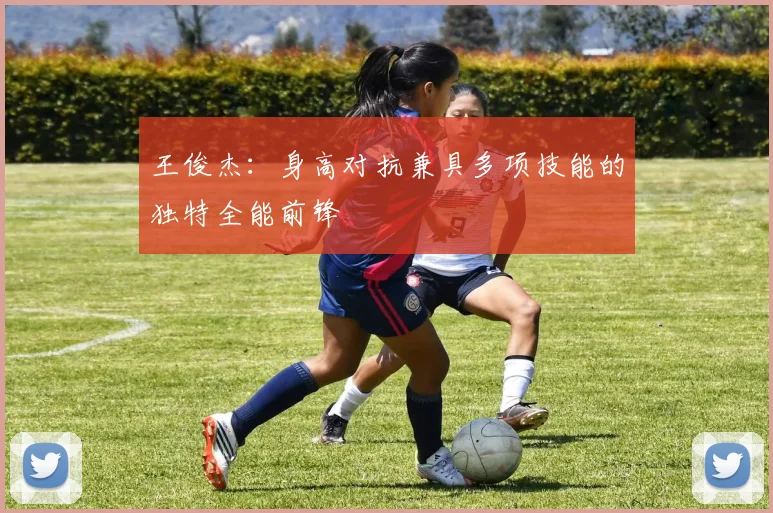 王俊杰：身高对抗兼具多项技能的独特全能前锋