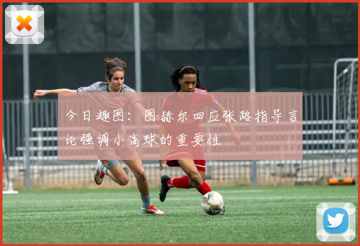 今日趣图：图赫尔回应张路指导言论强调小高球的重要性